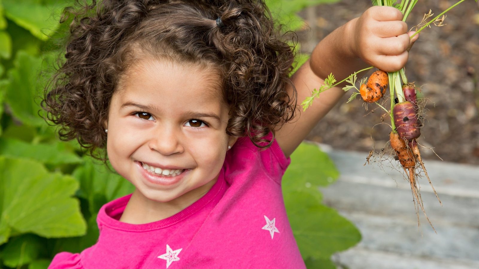 Curly-haired girl holding freshly picked carrots