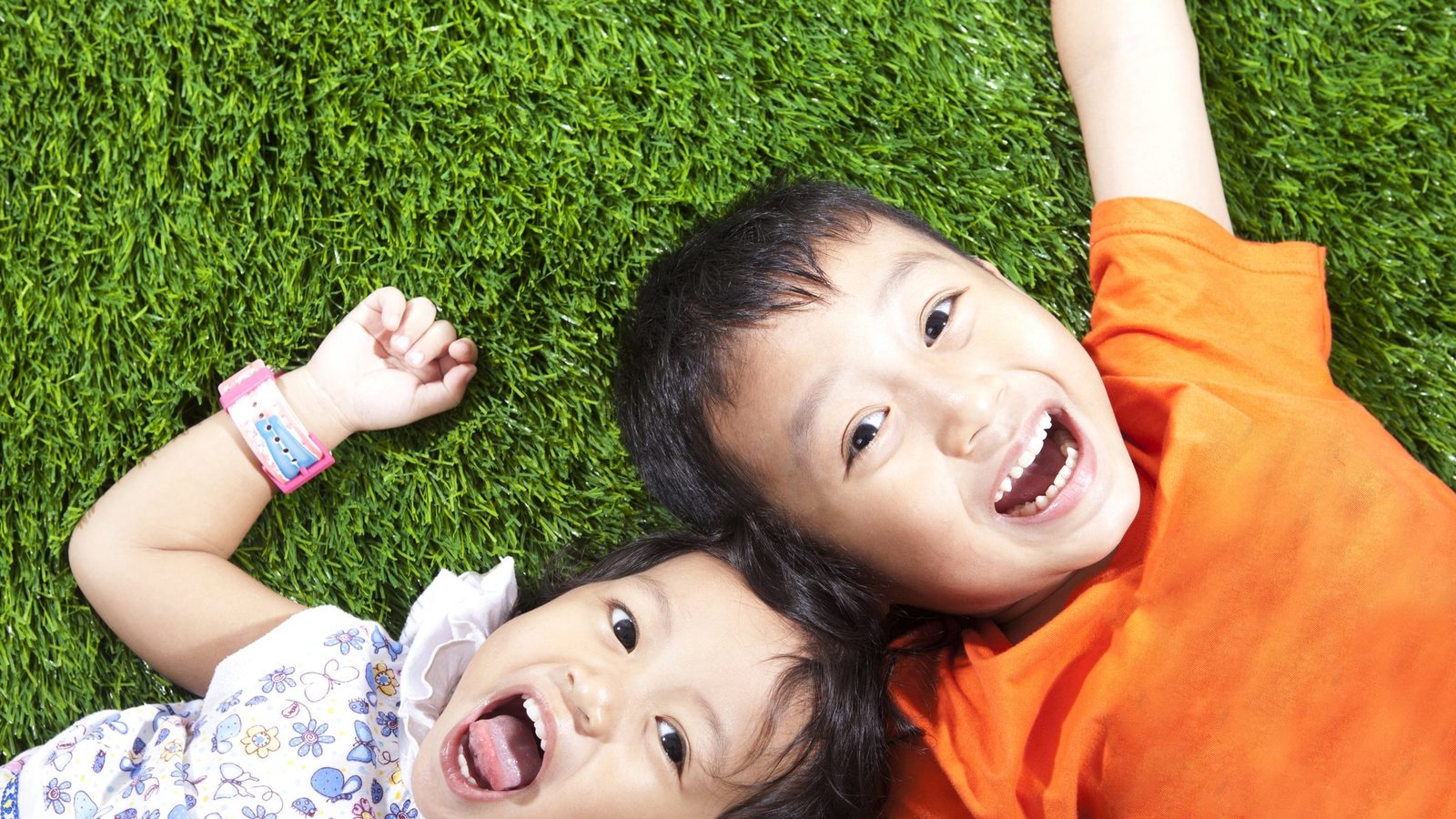 Two young children laughing on the grass