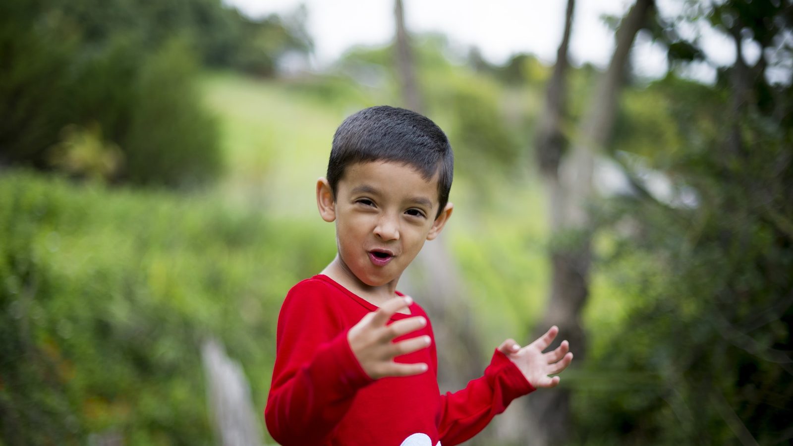A boy in a red jumper playing outdoors