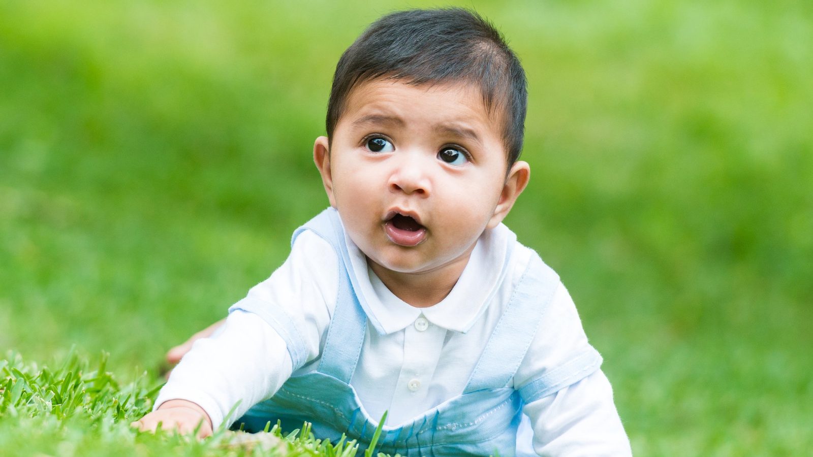A baby crawling on the grass