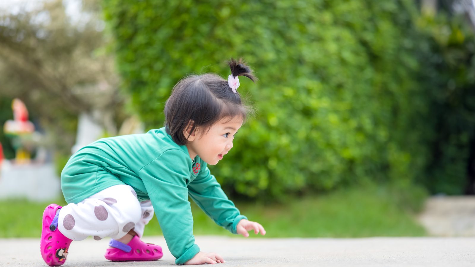 A toddler crawling on the grass