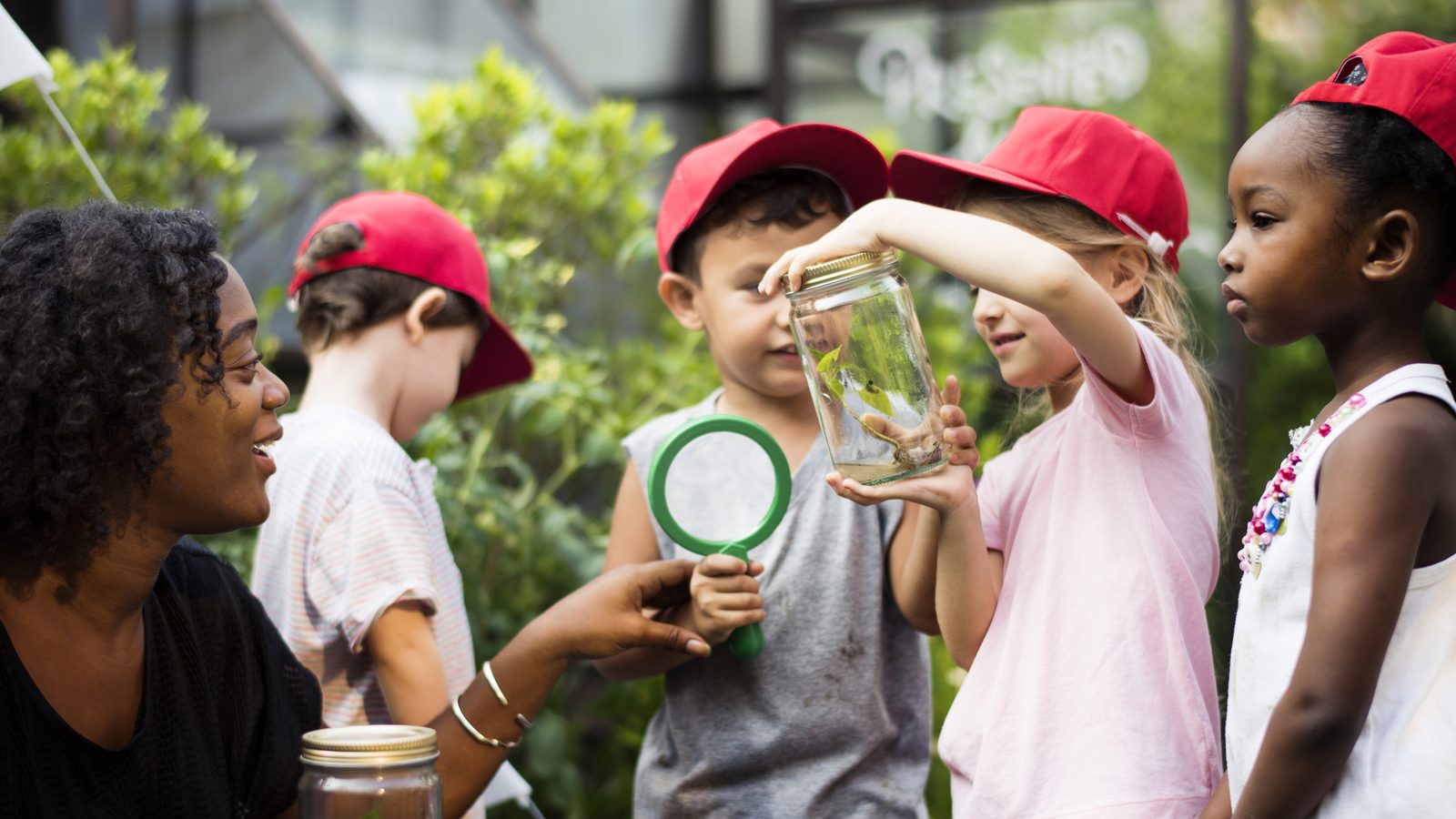 Children exploring plants outdoors