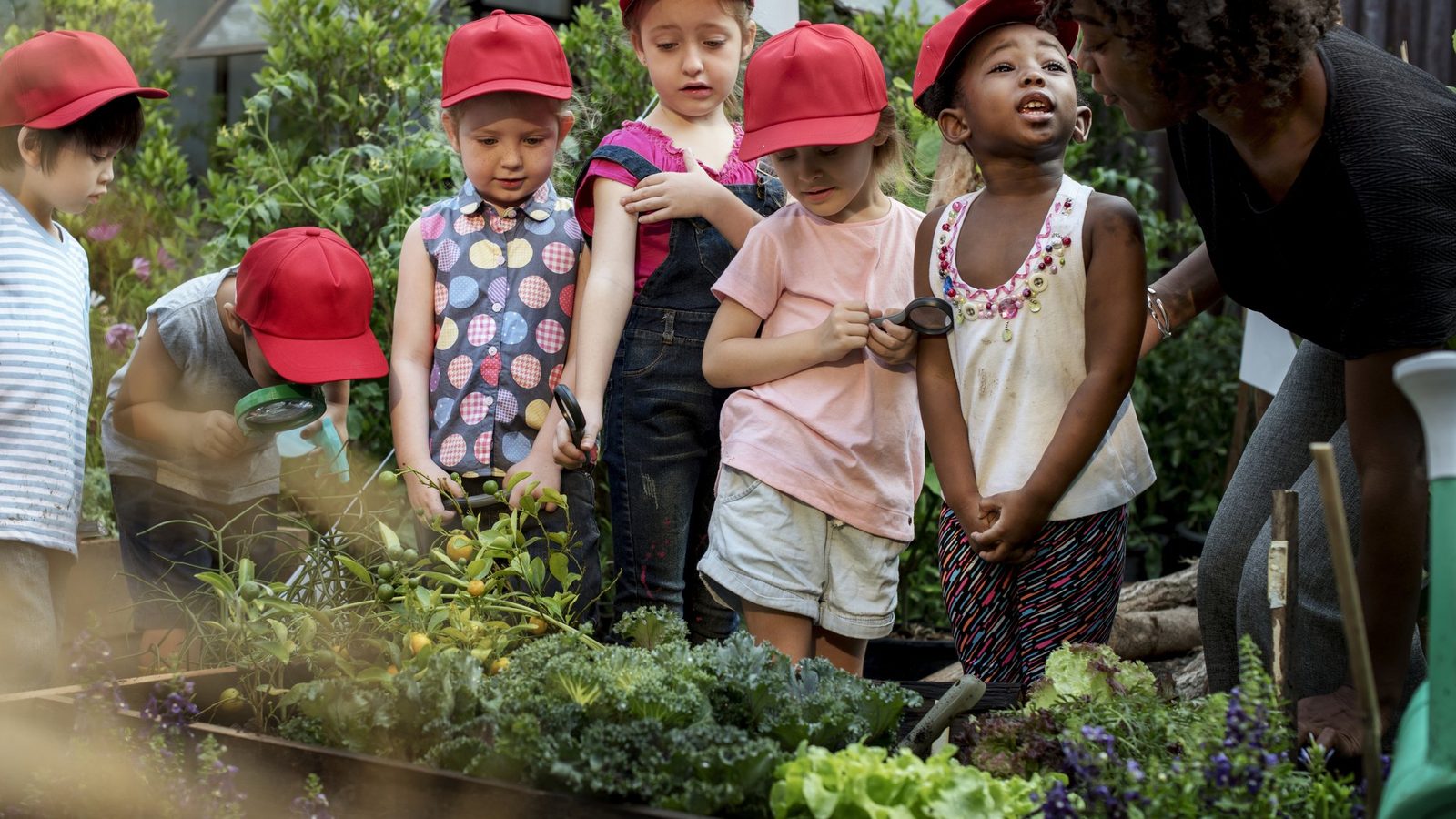 Children in caps exploring a garden
