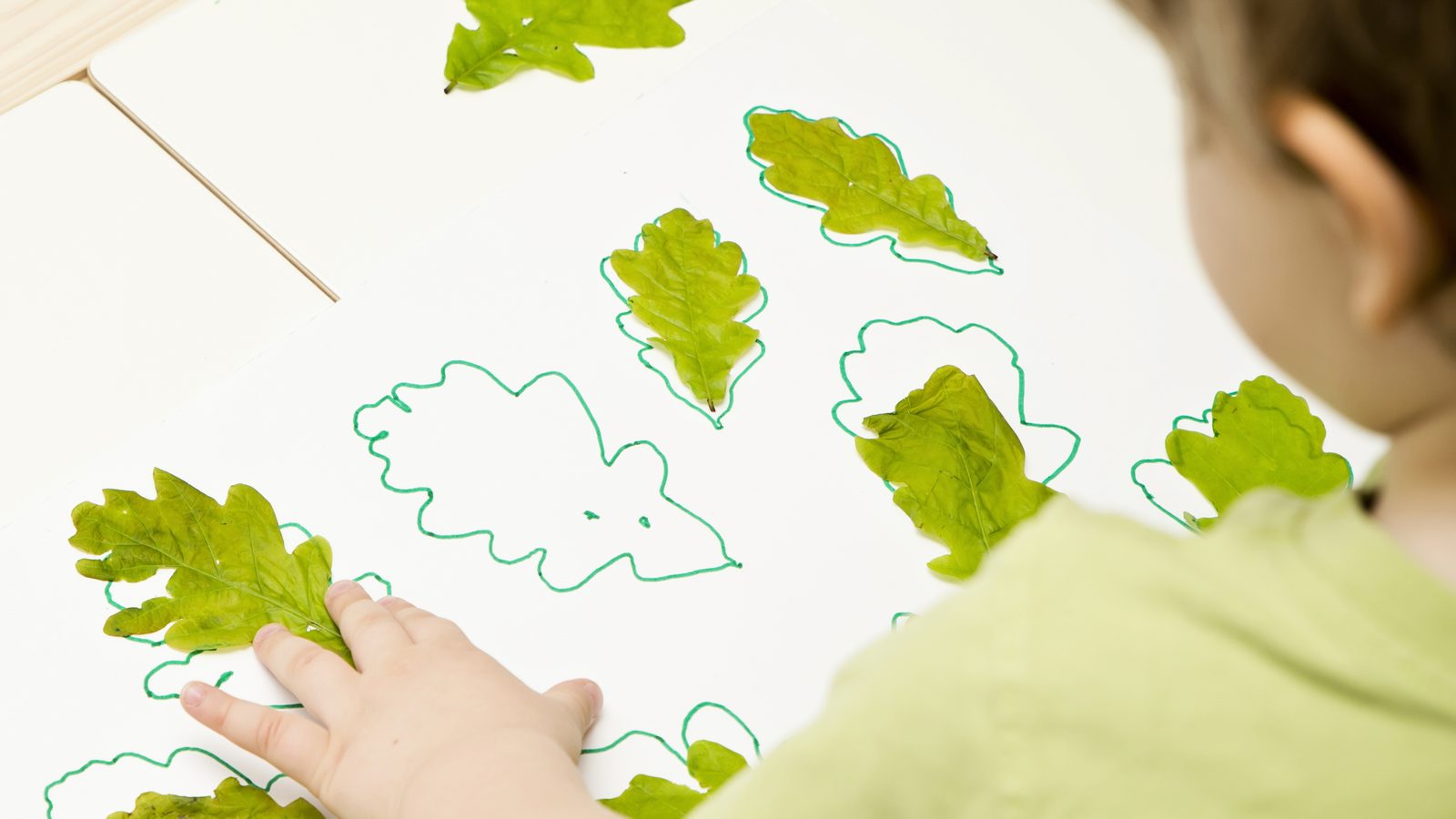 Hands placing leaf cut-outs on paper